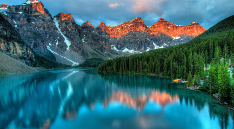 Nature 11