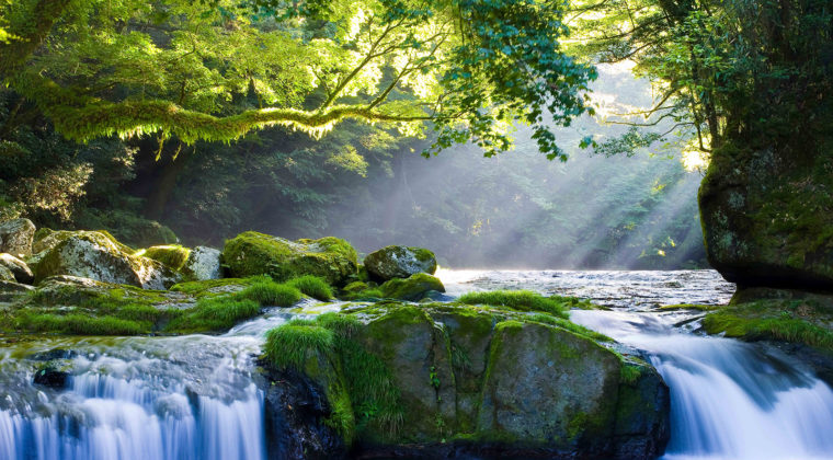 Nature 13
