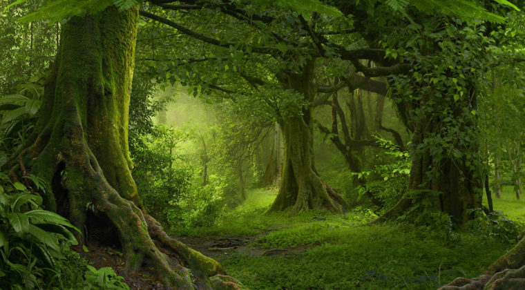Nature 26