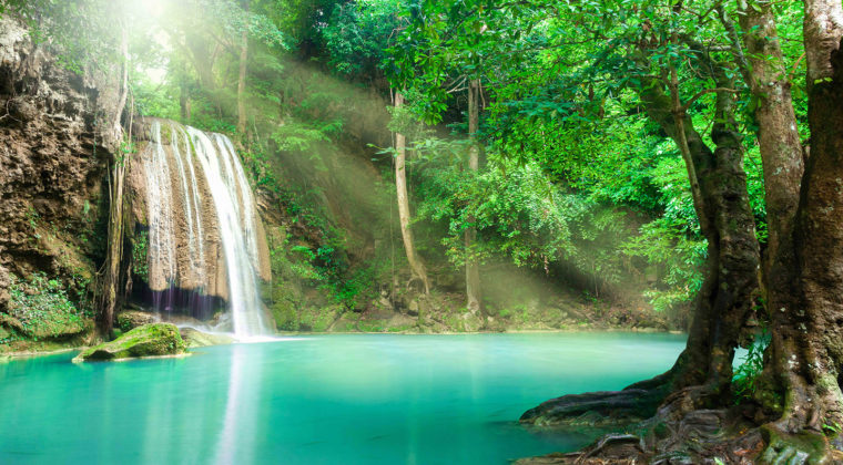 Nature 32