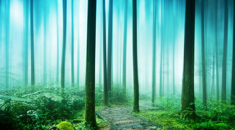 Nature 39