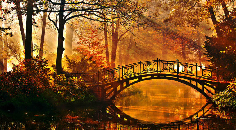 Nature 4