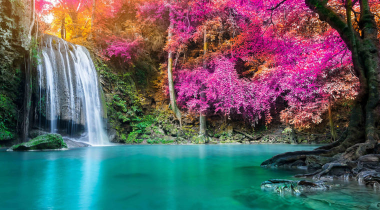Nature 40